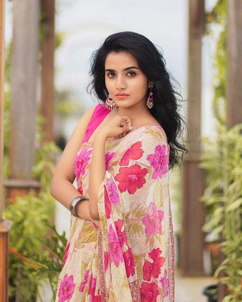 Ann Sheetal Saree Photoshoot (3)