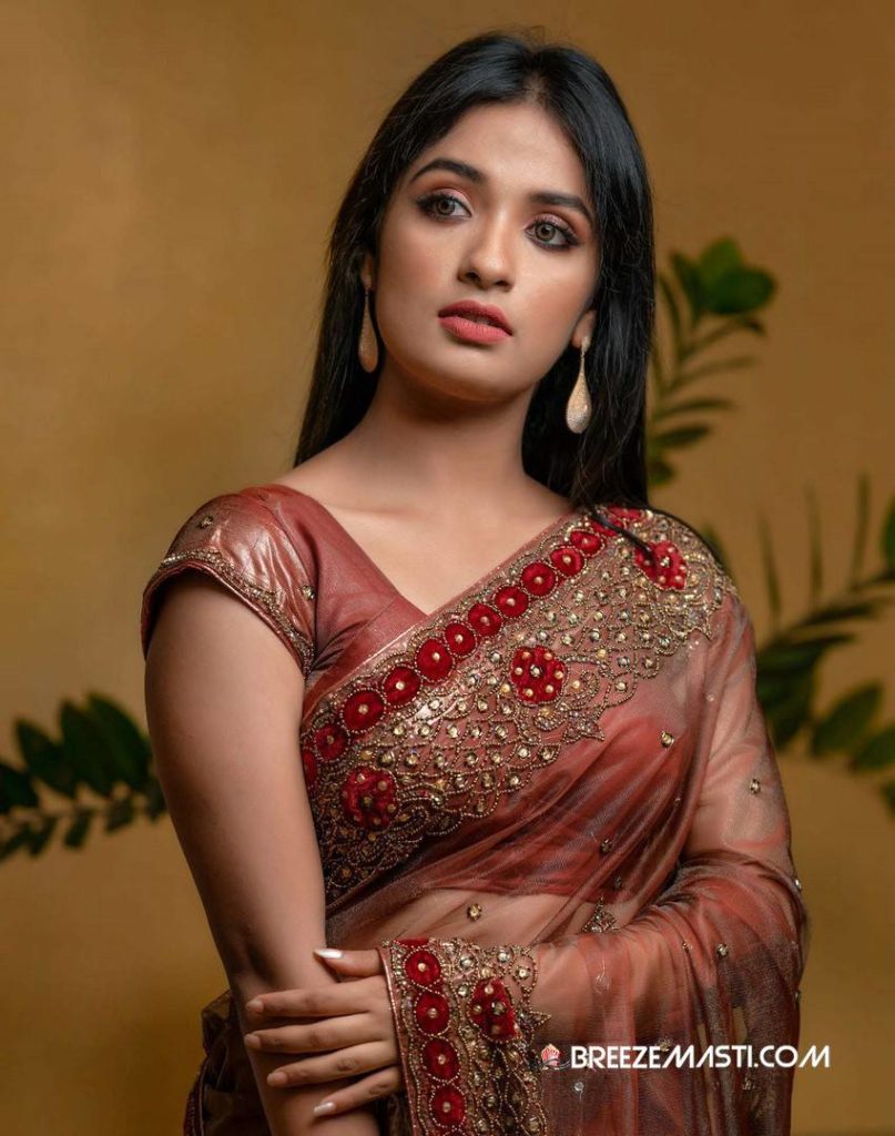 Mersheena Neenu Age, Family, Movies, Serial, Biography - BREEZEMASTI