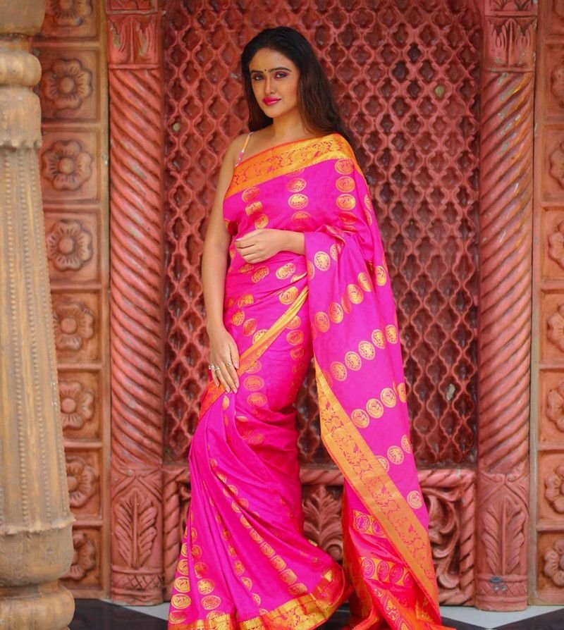 Sony Charishta Age, Family, Net Worth, Movies, Wiki, Biography 3 Sony Charishta Actress Photos